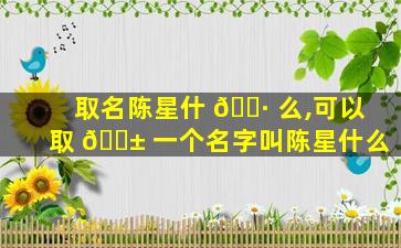 取名陈星什 🌷 么,可以取 🐱 一个名字叫陈星什么